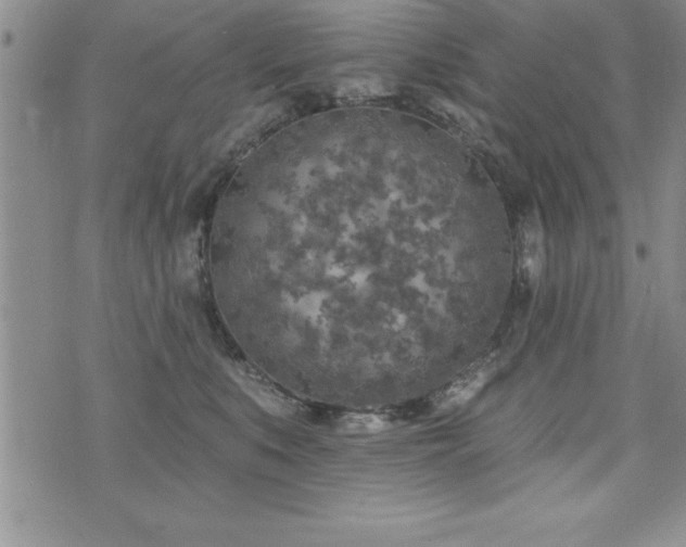 X0000071960519200607071456