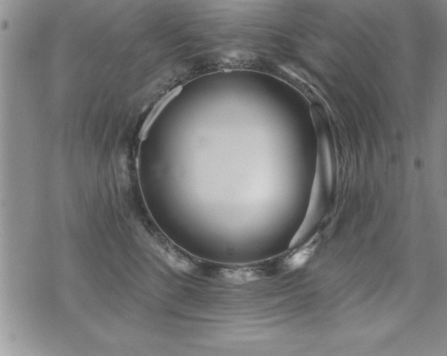 X0000071960520200607071456