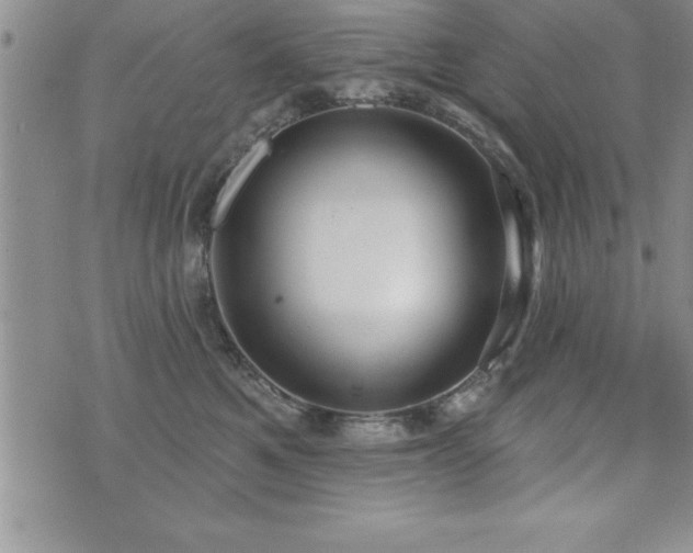 X0000071960521200607071456