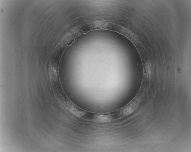 X0000071960522200607071456