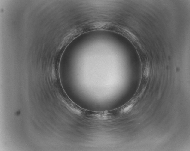 X0000071960524200607071456