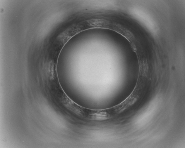 X0000071960525200607071456