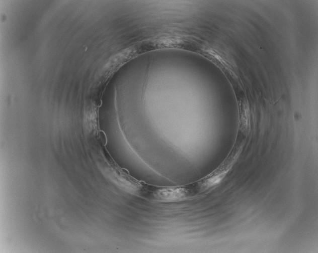 X0000071960526200607071456