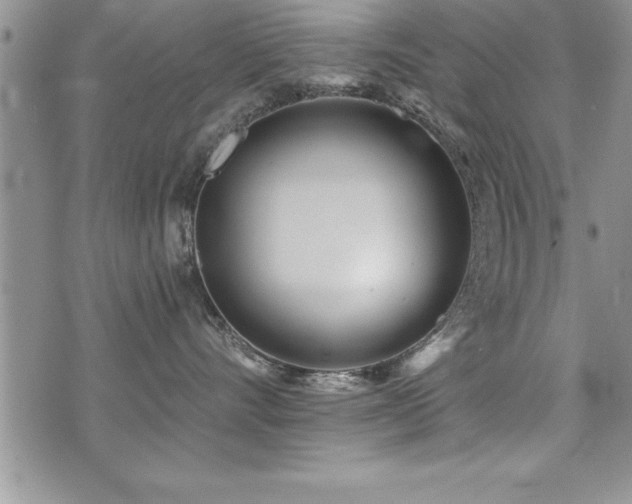 X0000071960528200607071456