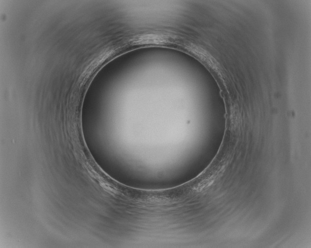 X0000071960529200607071455