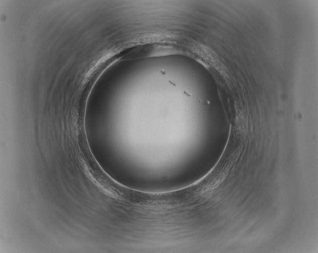 X0000071960530200607071455