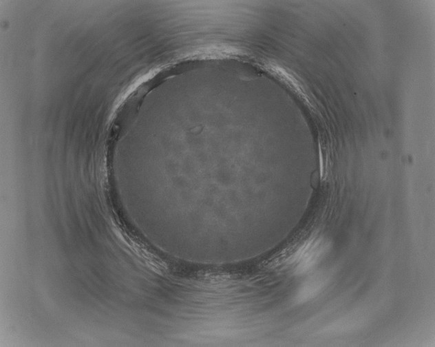 X0000071960531200607071455