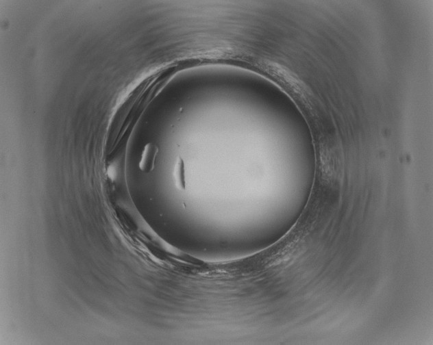 X0000071960532200607071455