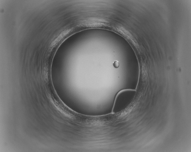 X0000071960533200607071455