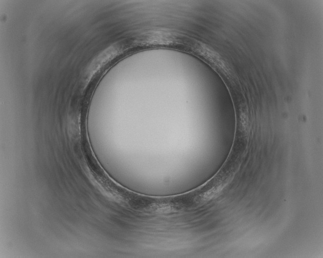 X0000071960534200607071455