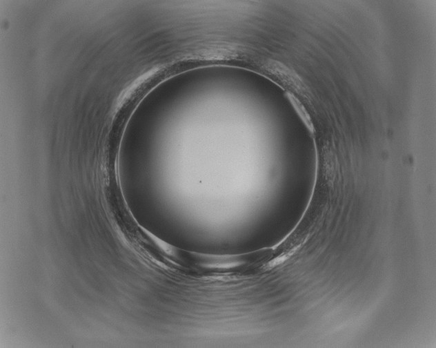 X0000071960536200607071455