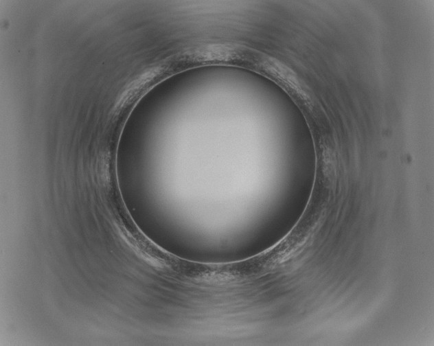 X0000071960537200607071455