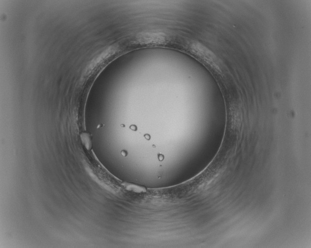 X0000071960538200607071455