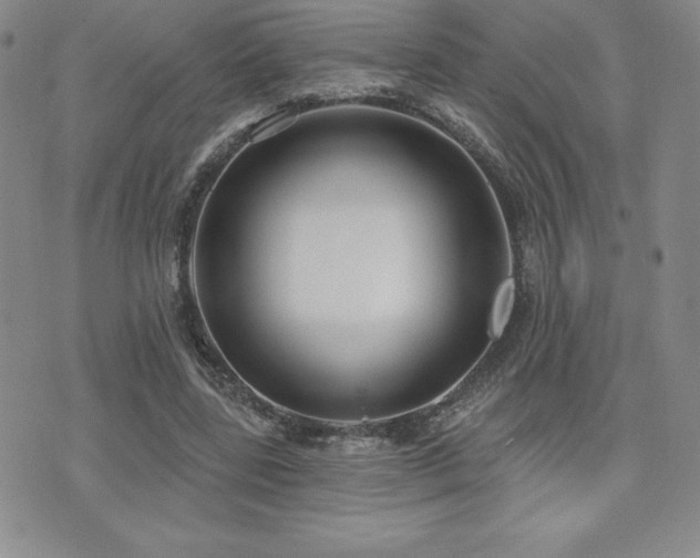 X0000071960539200607071455