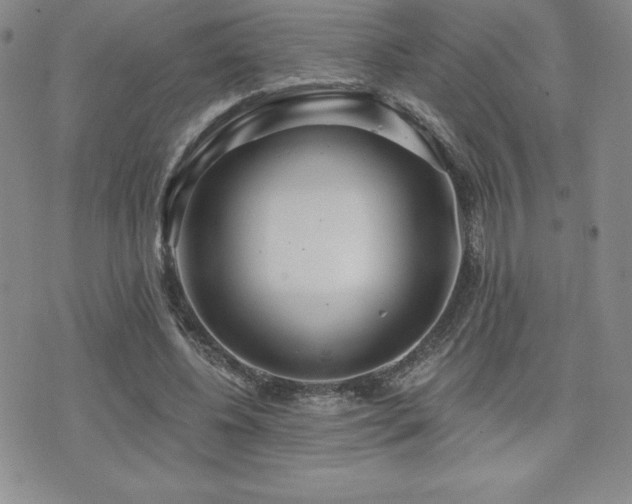 X0000071960540200607071455