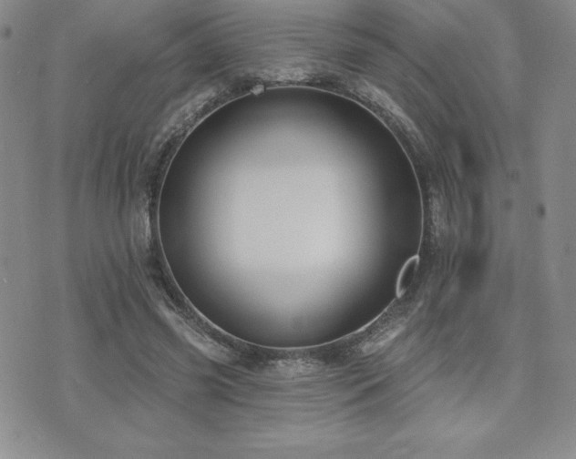 X0000071960541200607071455