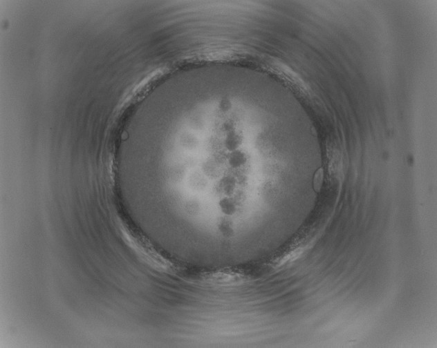 X0000071960542200607071455