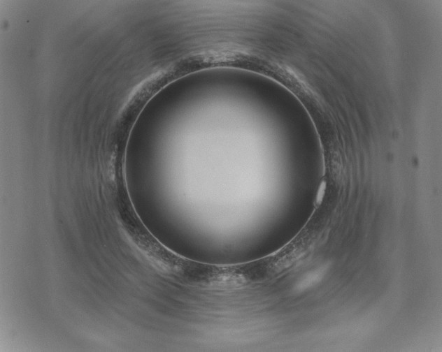 X0000071960543200607071455