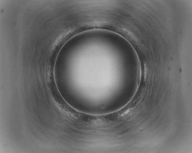 X0000071960544200607071455