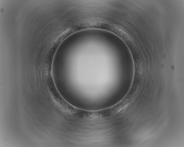 X0000071960546200607071455