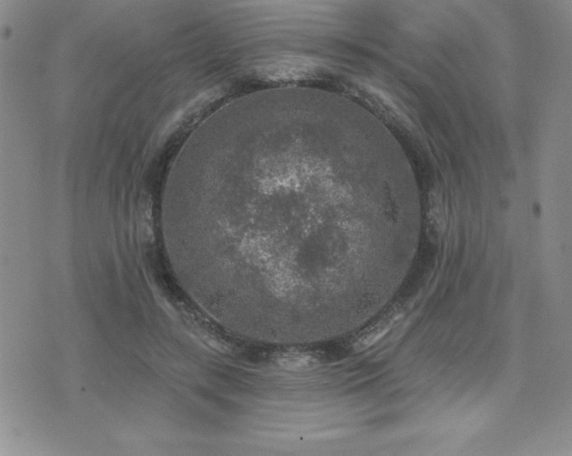 X0000071960547200607071455