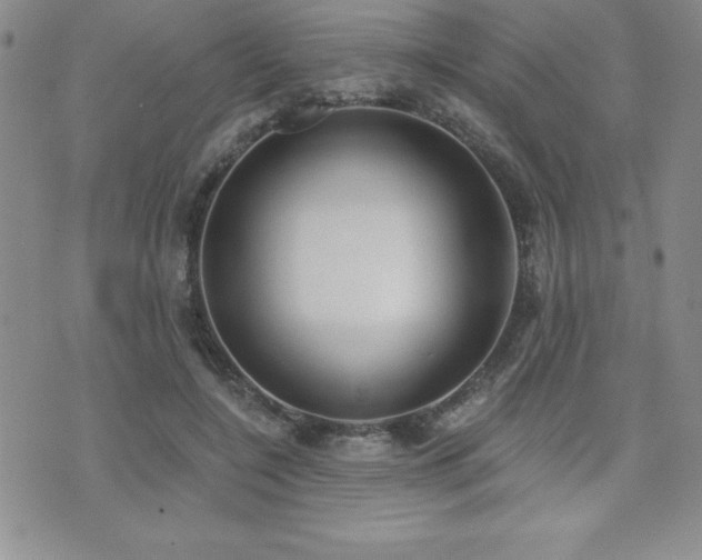 X0000071960548200607071455