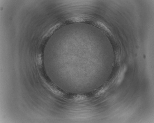 X0000071960549200607071455