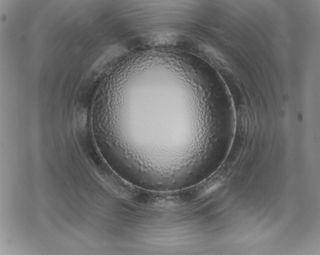 X0000071960550200607071455