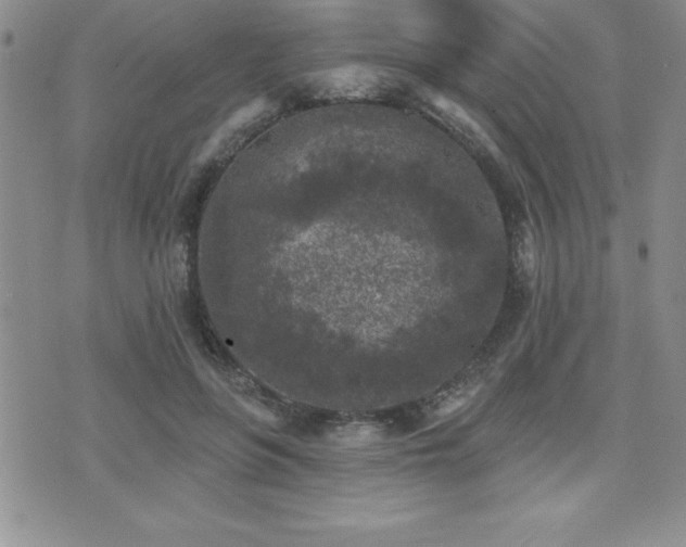 X0000071960551200607071455