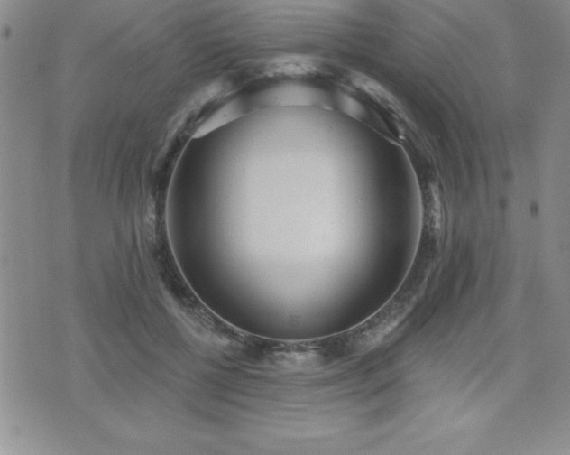 X0000071960552200607071455