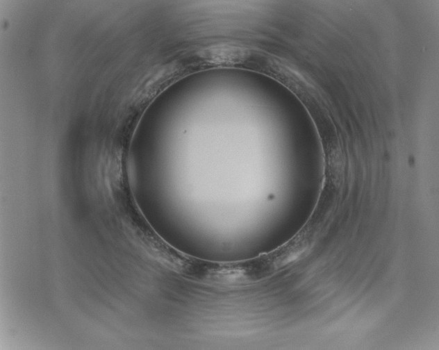 X0000071960554200607071455