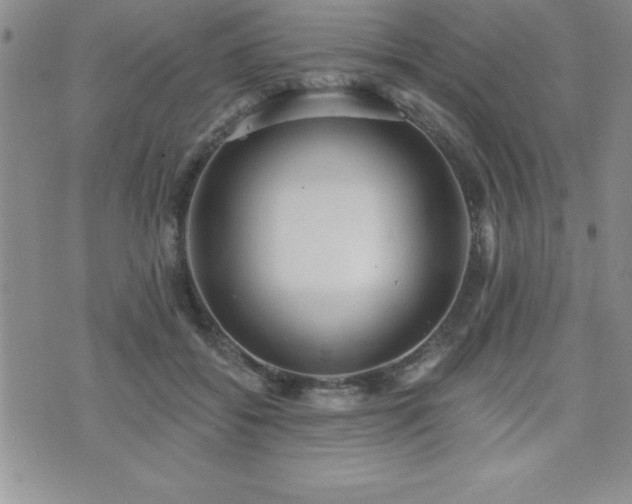 X0000071960556200607071455