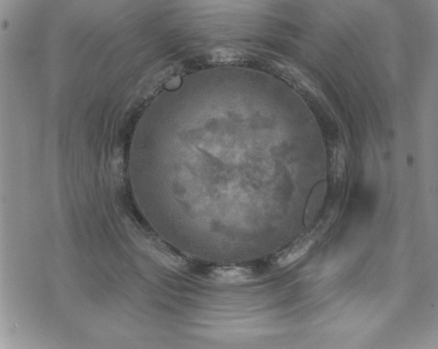 X0000071960557200607071455