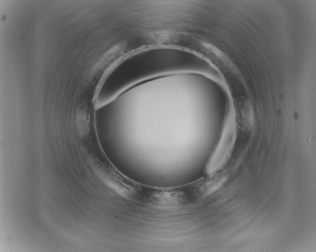 X0000071960558200607071455