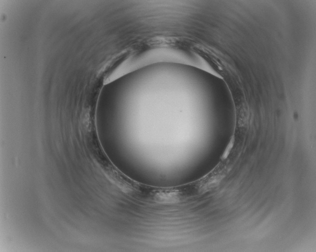 X0000071960560200607071455