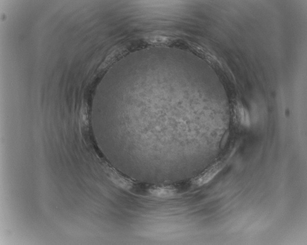 X0000071960561200607071455