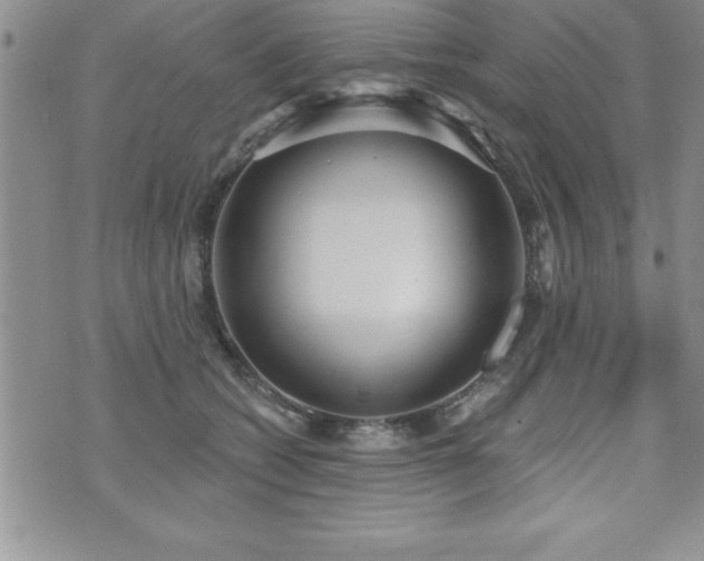 X0000071960562200607071455