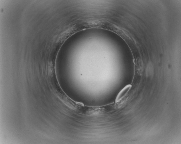 X0000071960563200607071455