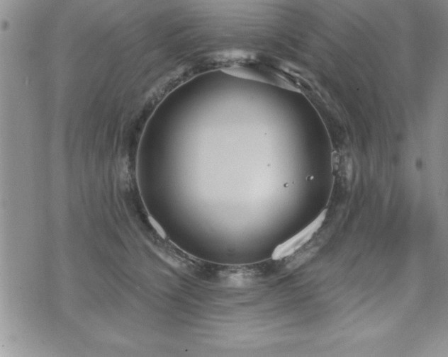 X0000071960564200607071455