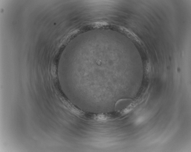 X0000071960565200607071455