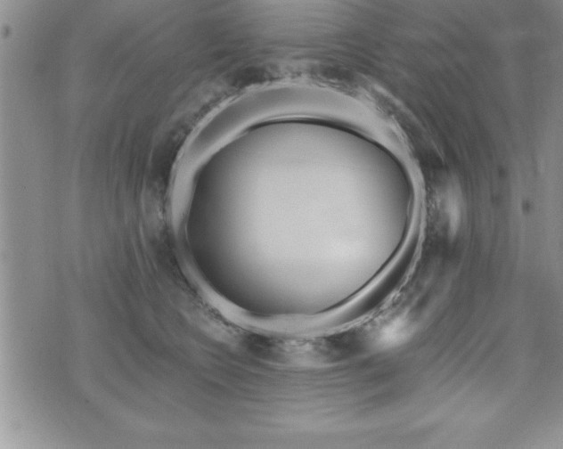 X0000071960566200607071455