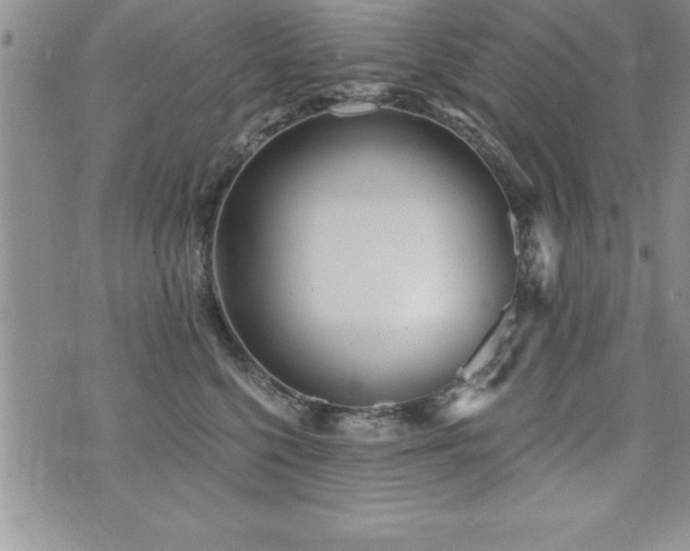 X0000071960568200607071455