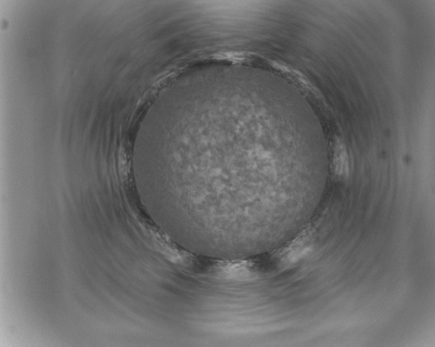 X0000071960569200607071456