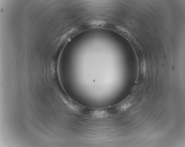 X0000071960570200607071456