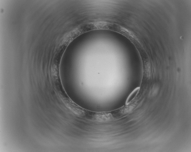 X0000071960571200607071456