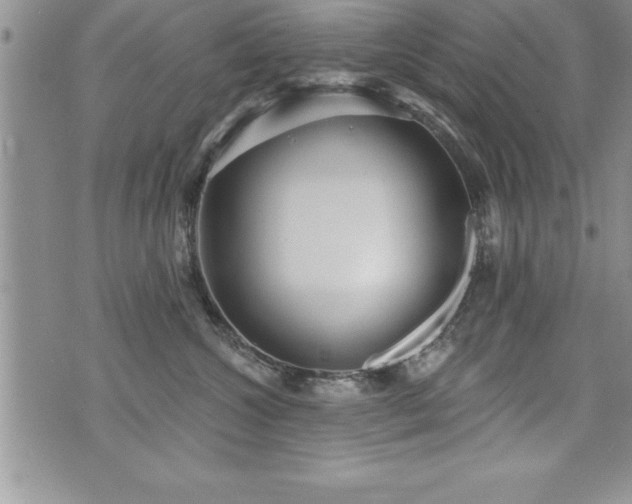 X0000071960572200607071456