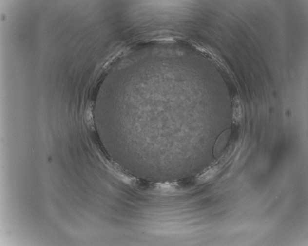 X0000071960573200607071456