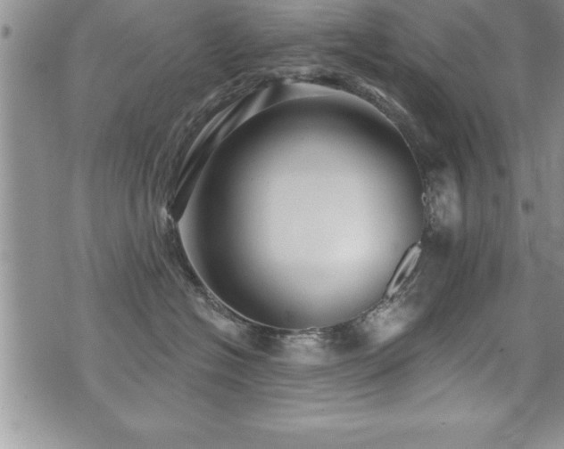 X0000071960574200607071456