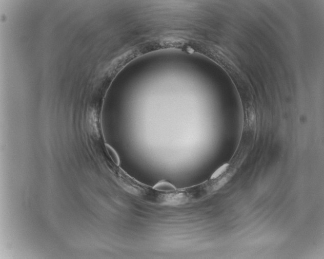 X0000071960575200607071456