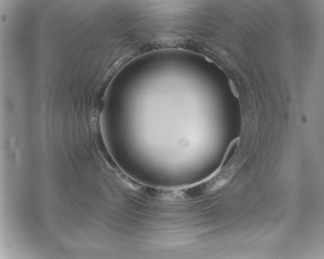 X0000071960576200607071456